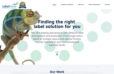 CMS Web Design Showcase