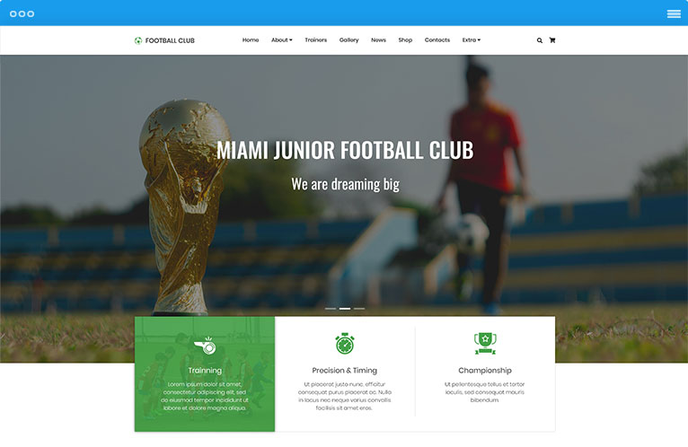 CMS Website Templates