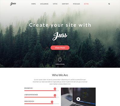 CMS Website Templates